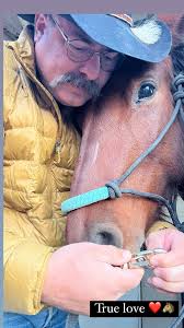 How to find details about my 14-year-old horse's origin and history?