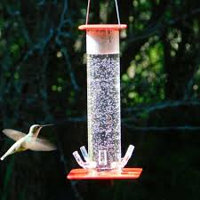 Rated 5 out of 5 stars. Hummingbird Feeder Suspended Long Tube Red Convenient Beautiful Birds Feeder P7ding Bird Feeding Aliexpress