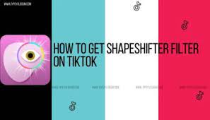 How To Get Tiktok Celebrity Look Alike Filter Jypsyvloggin