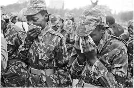 Nature & wildlife tours in samora correia. The Mysterious Death Of Samora Machel By Augusta Conchiglia Le Monde Diplomatique English Edition November 2017