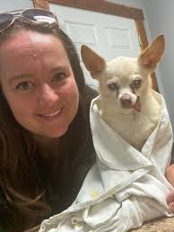 Happy Halloween ￼form little Alfie 🎃