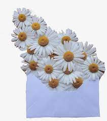 21 90's ui frame png's. Daisies Daisy White Orange Polyvore Moodboard Filler Aesthetic Love Letter Transparent Png 2048x2048 Free Download On Nicepng