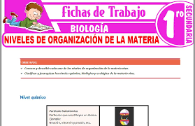 Ver más ideas sobre bingo para imprimir, bingo, secundaria matematicas. Biologia Para Primero De Secundaria Fichas De Trabajo