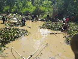 Download lagu dan video terbaru. Kala Warga Rawak Hulu Kalbar Tangkap Ikan Secara Tradisional Saat Kemarau Kumparan Com