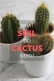 Cactus Care Tips And How To Grow Cactus At Smartgardenguide Com Amazingflowersandgardens Amazingflowers Amazing Cactus Care How To Grow Cactus Cactus Flower
