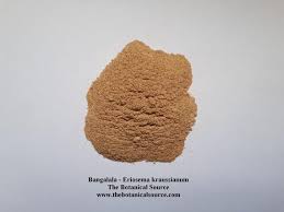 Image result for Eriosema angolense