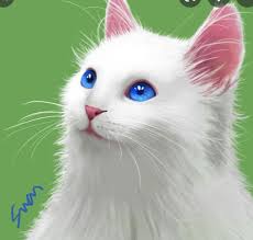 Happy birthday LaLa! (Belated) : r/CreamHeroes