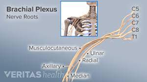 Brachial Neuritis Parsonage Turner Syndrome Psjc