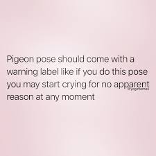 Pigeon Pose Yoga Funny Pigeon Pose Online Yoga Classes