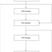 Please see week 1 on moodle. Pdf Plant Dna Extraction