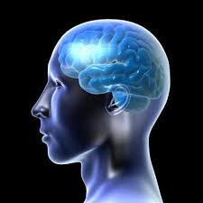 Deaths linked to rare brain disease?