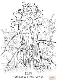Pretty flowers bloom from a graceful fox face. Flower Coloring Pages Abstract Coloring Pages Bird Coloring Pages