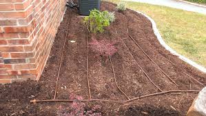 Growing and caring for ageratums is simple. Drip Irrigation For Flower Beds And Lawns Heads Up Sprinkler Co Leader In Water Conservation