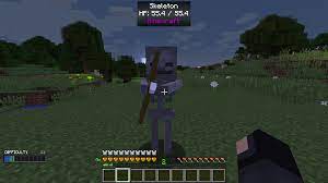 The health bar hud shows a small rendering of the entity, its name, health in numeric and bar format. Scaling Health Mods Minecraft Curseforge
