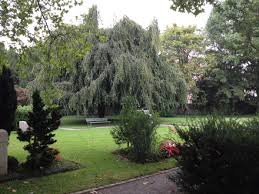 Friedhof Sihlfeld Zurich Offnungszeiten Grosster Park Zh Info Ch