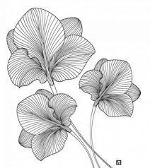 See more ideas about drawings, easy flower drawings, easy drawings. 68 Ideas Flowers Drawing Design Pattern Tattoo Ideas Flower Drawing Design Flower Drawing Pattern Art