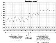 11 Best Peak Flow Meters Images Flow Asthma Peak