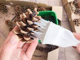 How to clean your pine cones from bugs. How To Clean Pine Cones For Crafts Sustain My Craft Habit