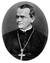Тұқым қуалау заңдылықтары және оның ерекшеліктері. Gregor Iogann Mendel Uikipediya