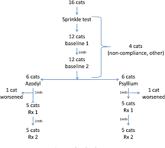 Azodyl for dogs and cats is suitable for pets of all sizes who need extra kidney health support. Azodyl A Synbiotic Fails To Alter Azotemia In Cats With Chronic Kidney Disease When Sprinkled Onto Food Semantic Scholar
