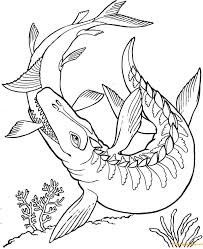 Coloring And Drawing Mosasaurus Water Dinosaur Coloring Pages 612x792 world coloring pages sea world coloring pages sea world coloring. mosasaurus water dinosaur coloring pages