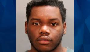 Florida Teen Sentenced for Repeatedly Bashing Girlfriend in Head, Killing  Her