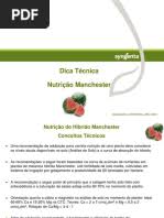 Image result for Eriocaulon angustibracteatum