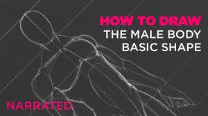Sketch the male figure by using the shapes as a guide. How To Draw The Male Body Basic Shape Narrated Youtube