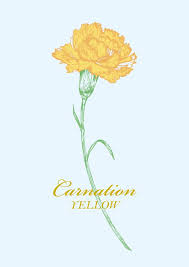 Pin By H M On Festival Deco Yellow Carnations Carnation Flower Tattoo Flower Drawing