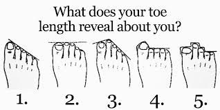 This Is What Your Toe Length Reveals About Your Personality Higher Perspective this is what your toe length reveals