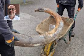 Aannemer stoot op slagtanden van wolharige mammoet tijdens graafwerken: “Uitzonderlijk op zo’n diepte”