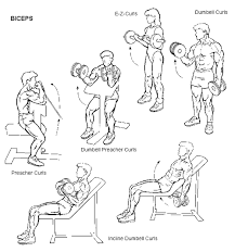 15 Memes Superman And Bicycle Abs Quads Glutes Triceps