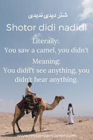 What is sweet and walks across a desert? 12 Persian Idioms And Proverbs Related To Animals My Persian Corner