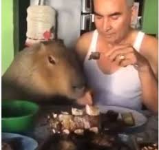 Conoce los servicios veterinarios gratis que habrá este sábado 14 de agosto en el. El Increible Video Del Carpincho Que Come Asado En La Mesa Adnsur Agencia De Noticias De Comodoro Rivadavia Y Chubut