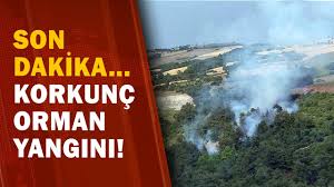 Jul 31, 2021 · son dakika haberi | aydın'daki oda ve borsalardan yangın bölgelerine destek son dakika gündem haberine göre aydın ticaret odası ayto başkanı hakan ülken, aydın'daki oda ve borsalar olarak muğla'nın marmaris ilçesinde devam eden yangında kullanılmak üzere iş makinesi kiralayıp bölgeye gönderdiklerini belirtti. Son Dakika Aydin Soke De Orman Yangini Yangina Karadan Ve Havadan Mudahele Ediliyor A Haber Youtube