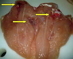 How Preventing Wing Flapping Improves Chicken Processing Wattagnet