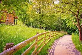 Best 60 Nature Background On Hipwallpaper Beautiful Nature Wallpaper Awesome Nature Wallpapers And Pretty Nature Wallpaper Here are only the best best nature wallpapers.