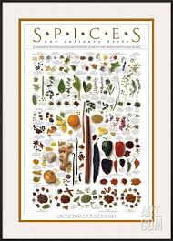 Spices And Culinary Herbs Framed Art Print At Art Com Culinary Herbs Homemade Spices Herbs