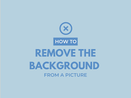 Fully automatic & precise crop. How To Remove The Background From A Picture Techsmith