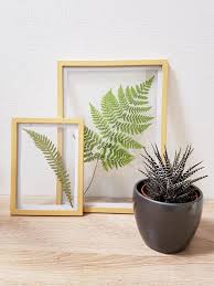 Diy Un Herbier Sous Verre Transparent Esprit Laita Cadre Transparent Cadre Fleur Cadre Deco
