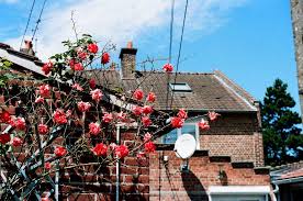 Les Fleurs Et La Parabole Devant Une Maison En Brique Northern France Brick House With Red Flowers Maison En Brique Vacances Hauteur Sous Plafond