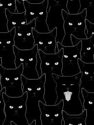 Cat wallpapers, backgrounds, images— best cat desktop wallpaper sort wallpapers by: Black Cats Via Tumblr On We Heart It