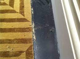 With routine visits and skillful application, you won't have to worry about an outbreak taking over your keeping parks pest free for all new yorkers. Pest Control Service Photos Organic Pest Control Miami Dade