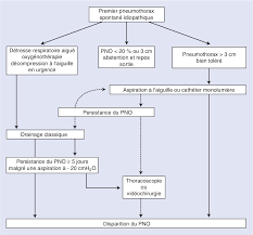 A pneumothorax is an abnormal collection of air in the pleural space between the lung and the chest wall. Figure 8 From Prise En Charge D Un Pneumothorax Non Traumatique Semantic Scholar