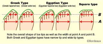 33 Problem Solving Foot Ancestry Chart