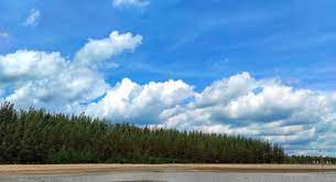 💎tampilan nomor panggilan aplikasi lokasi nomor telepon ini akan memberitahu lokasi panggilan, id penelepon, anda dapat memutuskan apakah mau pencari nomer telepon ini bisa menbantu anda mencari nomor telepon dan cek lokasi nomor hp! Pantai Lamaru Htm Rute Foto Ulasan Pengunjung