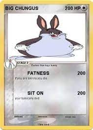 Pin On Big Chungus