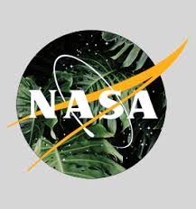 Search free nasa wallpapers on zedge and personalize your phone to suit you. Aesthetic Nasa Wallpaper Iphone Tumblr Novocom Top
