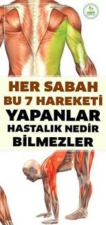 usefil health tips panosundaki pin