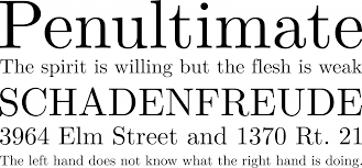 Latin modern roman is a modern type font that can be used on any device such as pc, mac, linux, ios and android. Latin Modern Roman Font Free By Gust E Foundry Font Squirrel